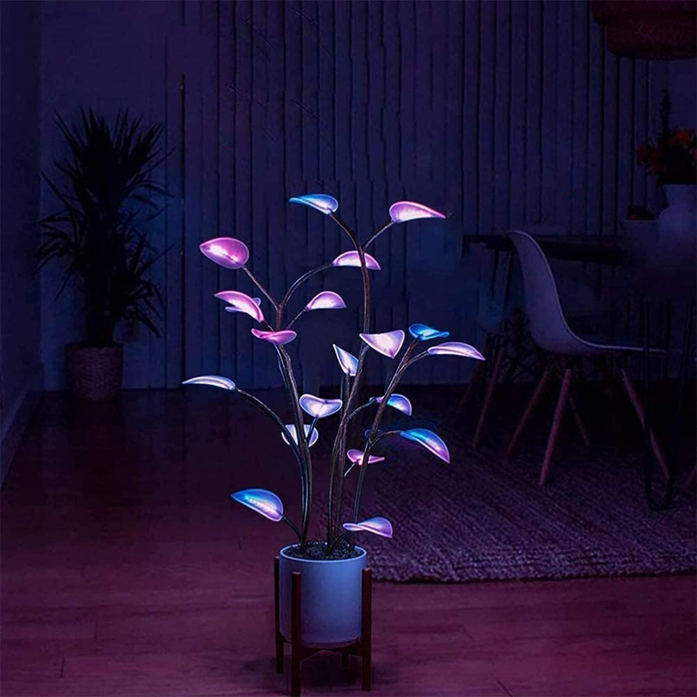 BrightBloom Bonsai Light - SLW Home