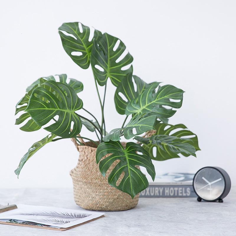 Monstera simulation plant - SLW Home